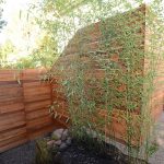 New wood fence with thin plants
